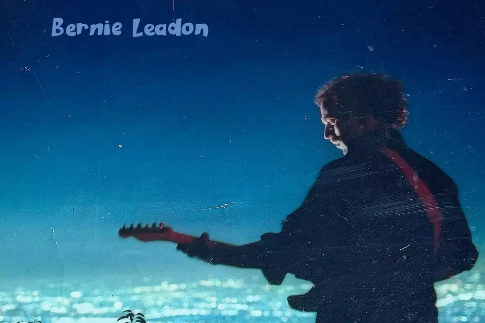 Bernie Leadon, 'Too Late to Be Cool': Album Review