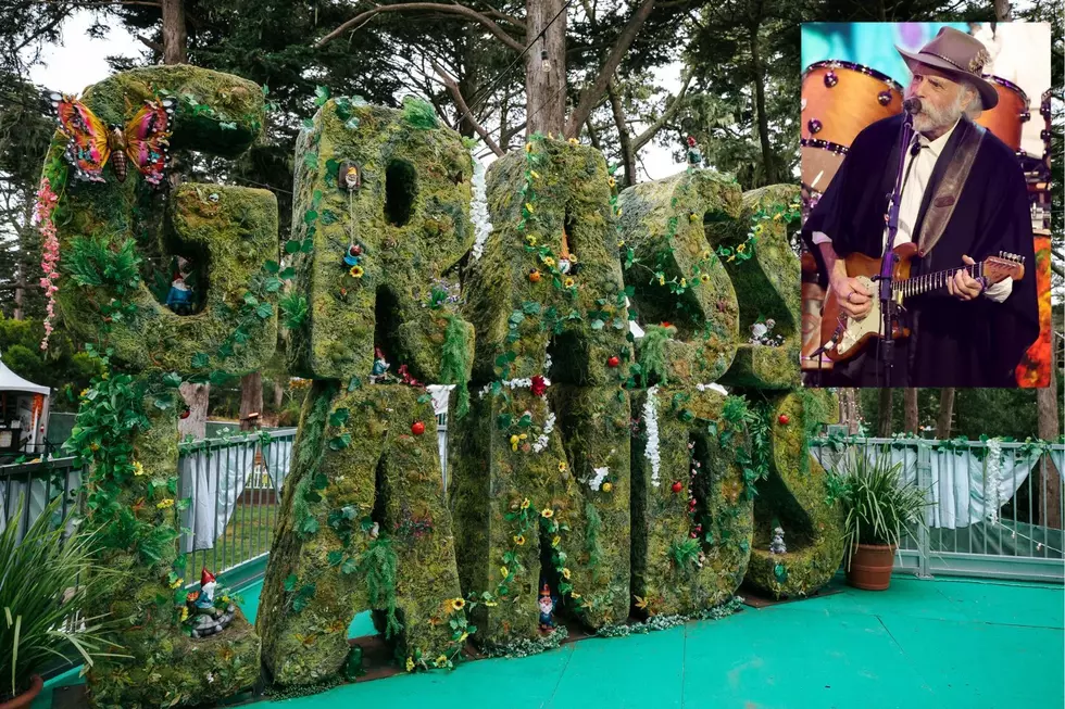 You Can Now Buy Legal Weed at a Grateful Dead Concert: Interview