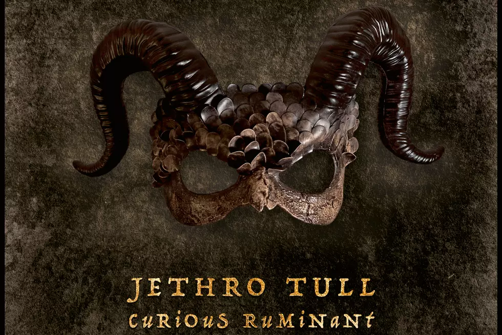 Jethro Tull, 'Curious Ruminant': Album Review